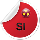 Présentation de l'option  SI